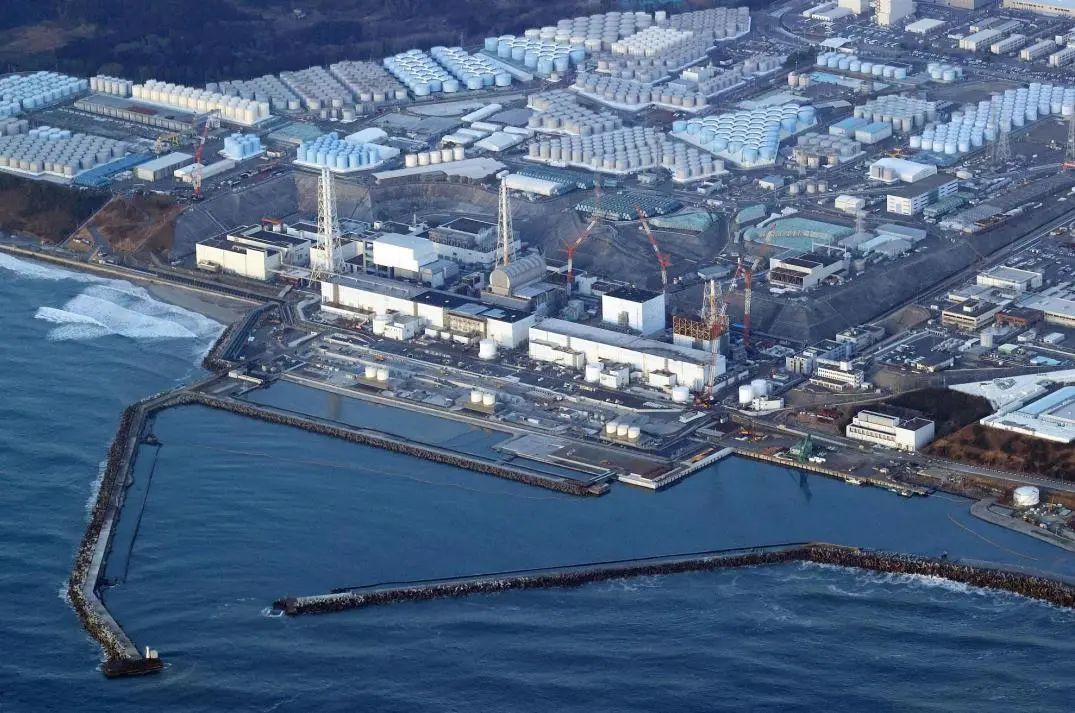 东京电力在核污水里养比目鱼，还计划养鲍鱼，负责人：有助于消费者放心